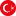 Türkçe